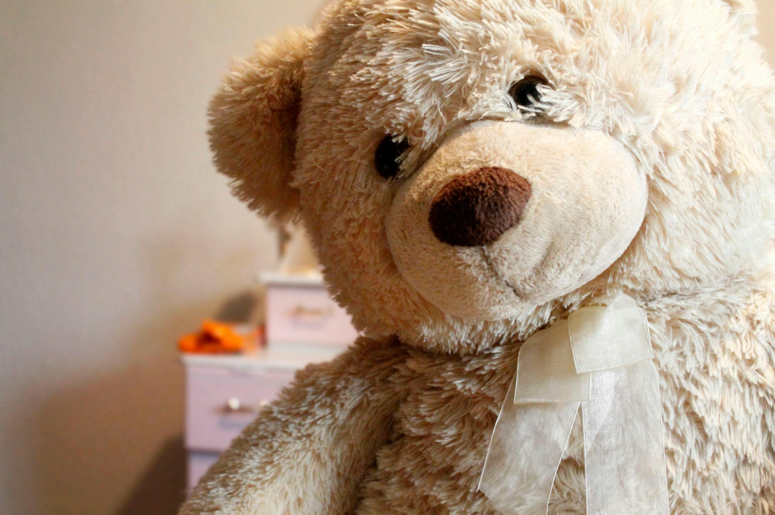 teddy scaled